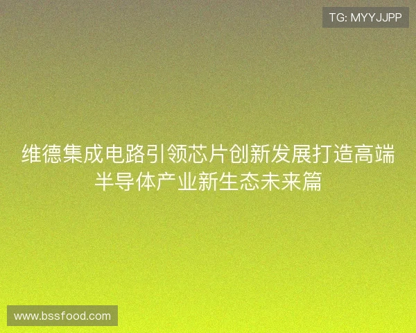 维德集成电路引领芯片创新发展打造高端半导体产业新生态未来篇